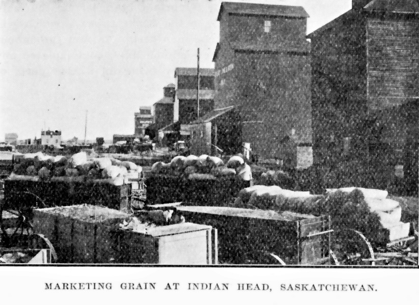 Indian Head grain elevators and wagons