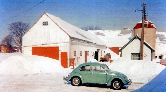 1962 Ayrshire dairy farm manure sleigh