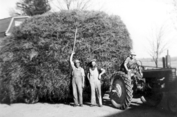 Peaker load of loose hay Edward and Erskine