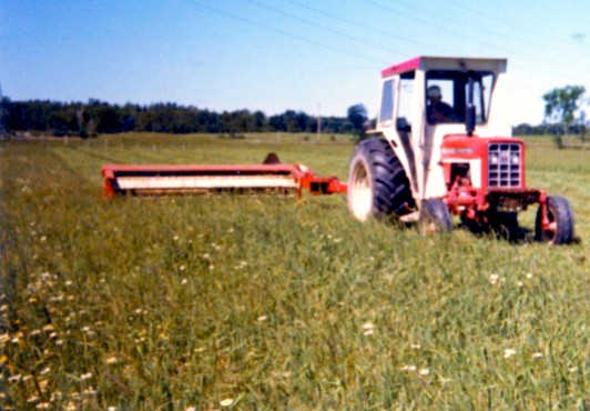 Cutting hay in 1978