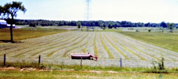 a field of cut hay