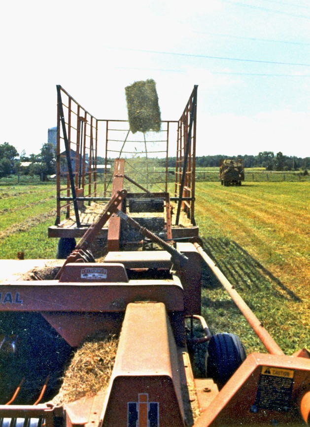 Hay bale kicker with caged hay wagon