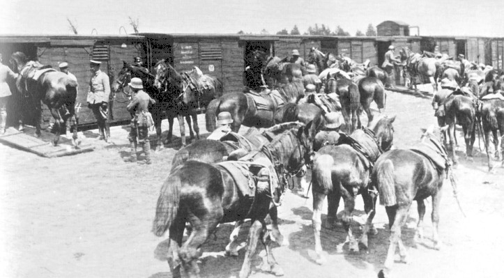 Artillery unit horses loaded into stock cars