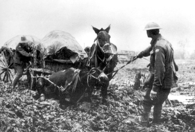 Great War mules supply train mud