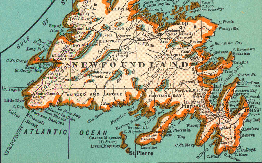 Newfoundland map - forestry in the north