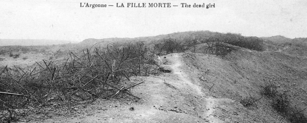 World War 1 battle-scarred landscape showing barbed wire entanglements