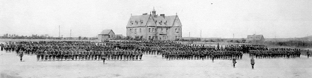 Third Battalion Newfoundland Regiment July 1916