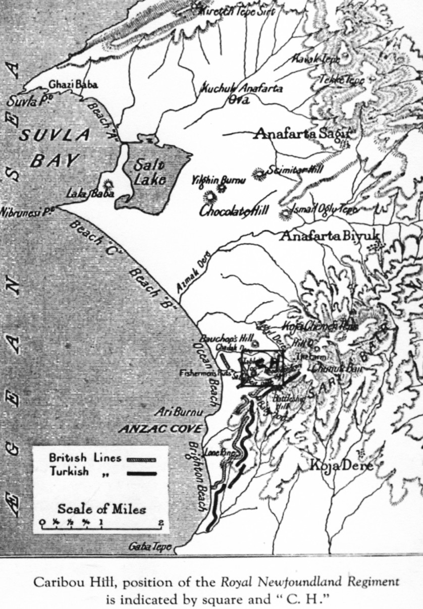 Gallipoli Campaign Suvla Bay ANZAC Cove, Caribou Hill