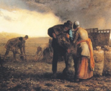 Jean-Francois Millet, The Potato Harvest, 1858